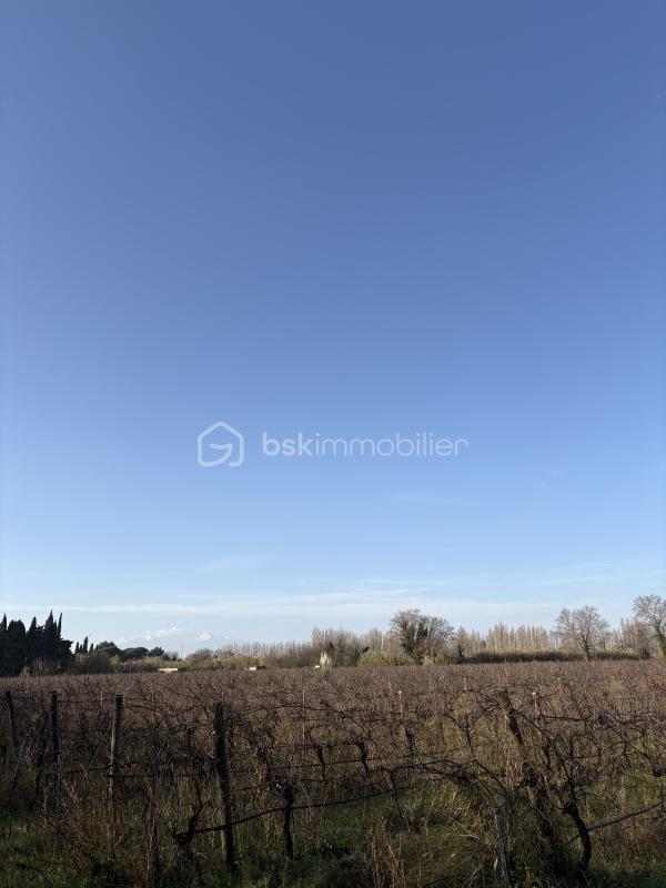 Terrain agricole - 30 676 m²