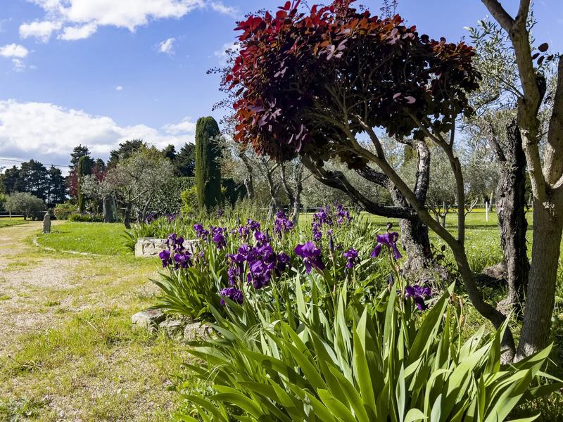 Mas - 460 m² - 14 pièces