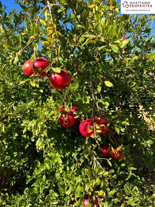 Demeure - 224 m² - 7 pièces