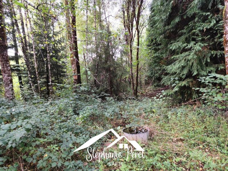 Maison - 300 m² - 10 pièces