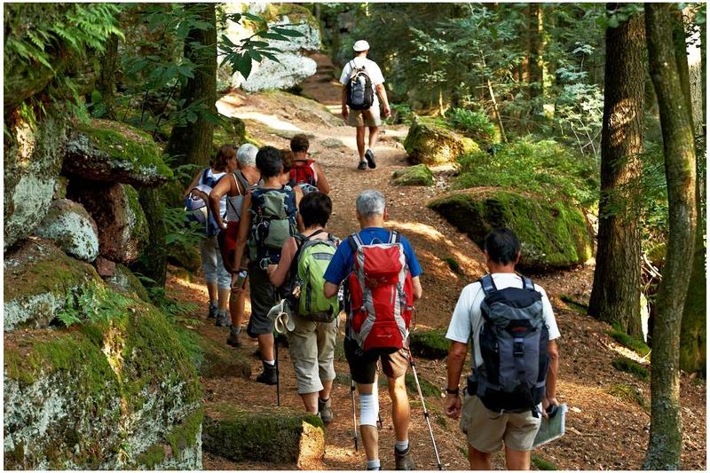 Balade nature - la cascade du Hohwald