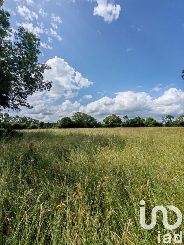 Terrain - 31 982 m²