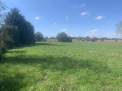 Terrain constructible - 5 000 m²