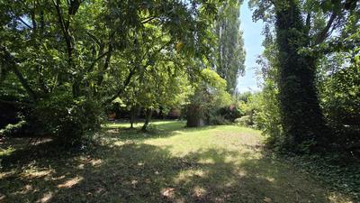Terrain constructible - 1 450 m²