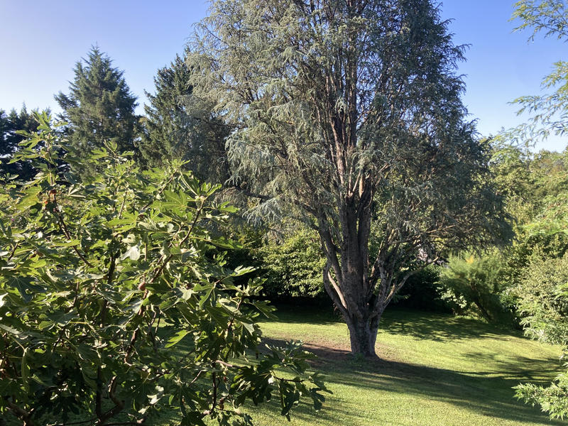 Villa - 133 m² - 6 pièces