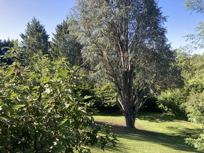 Villa - 133 m² - 6 pièces