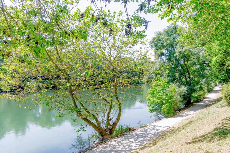 Maison bourgeoise - 255 m² - 9 pièces