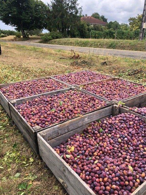 Propriété - 60 m² - 1 pièce