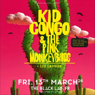 Kid Congo &amp; The Pink Monkey Birds