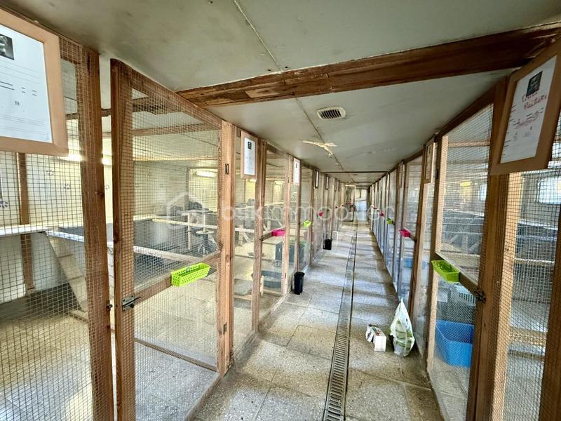 Corps de ferme - 230 m² - 6 pièces