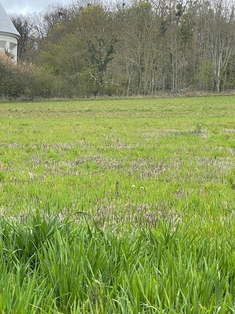 Terrain constructible - 830 m²