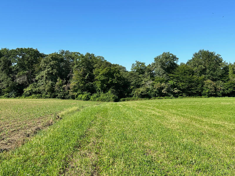 Maison - 180 m² - 5 pièces