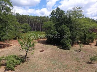 Maison ancienne - 117 m² - 4 pièces