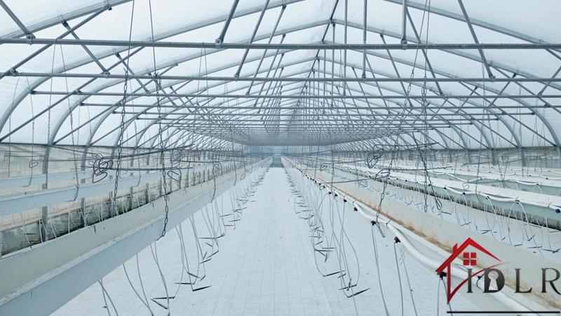 Local d'activité / Entrepôt - 80 000 m²