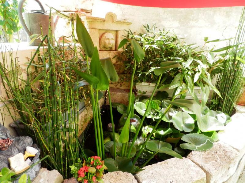 Propriété - 495 m² - 16 pièces