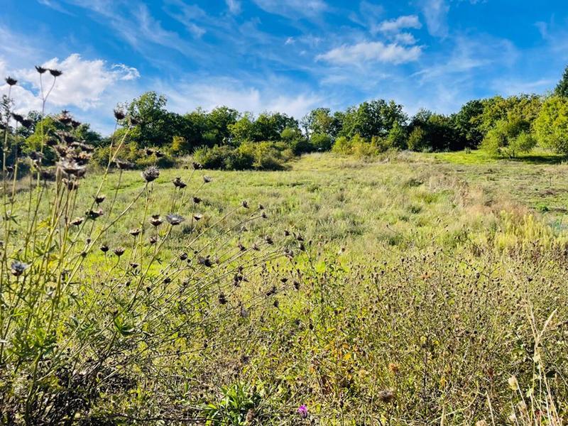 Terrain constructible - 945 m²