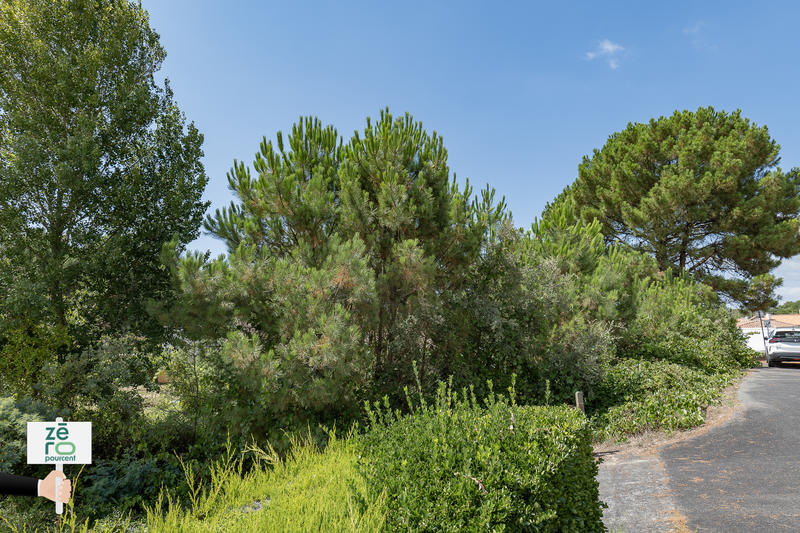 Terrain - 939 m²