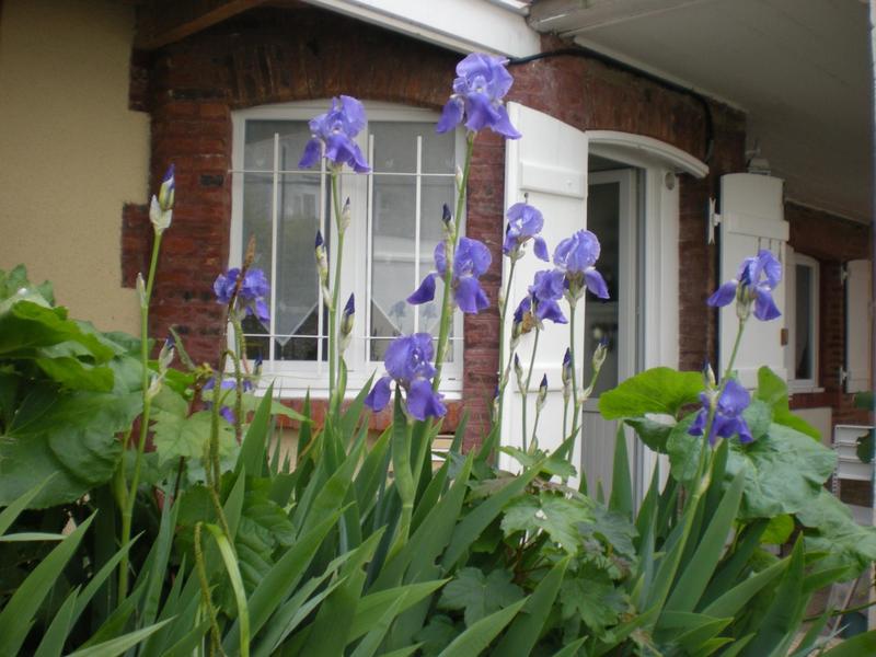 Appartement - 25 m² - 2 pièces