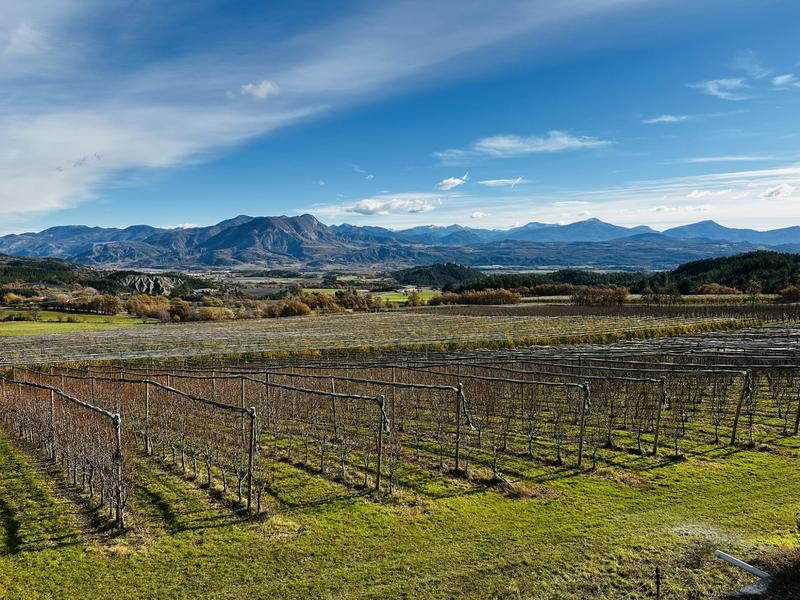 Villa - 124 m² - 5 pièces