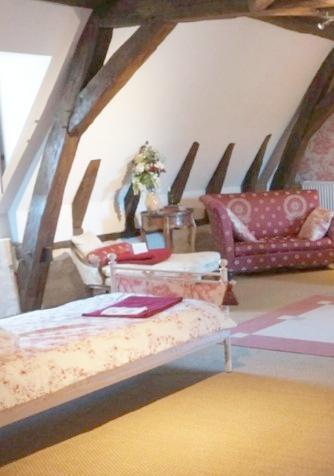 Manoir - 1 000 m² - 15 pièces