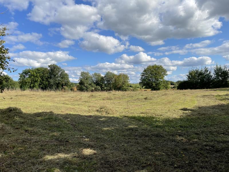 Terrain agricole - 1 000 m²