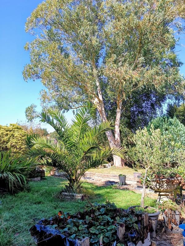 Maison - 136 m² - 5 pièces