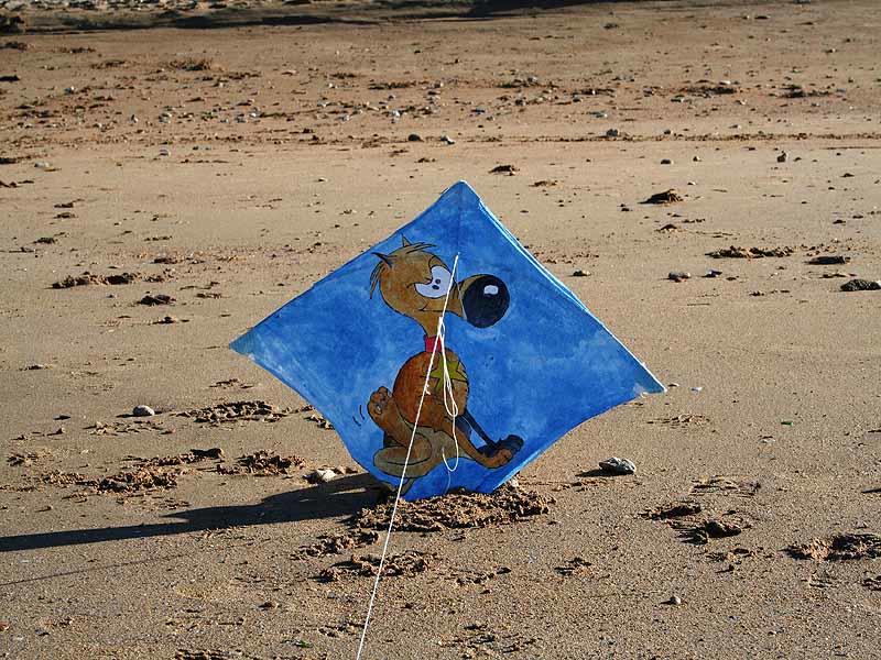 Balade découverte sur la plage d'Hermanville (comprend un atelier cerf volant)