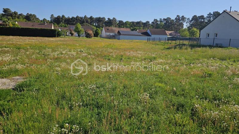 Terrain - 702 m²