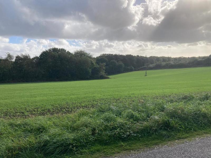 Terrain constructible - 2 183 m²