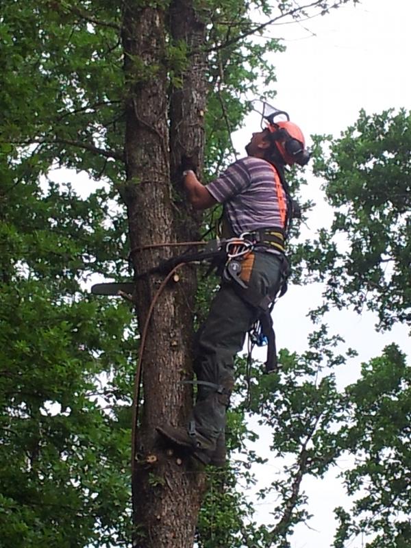 Espace-vert paysagiste Agen