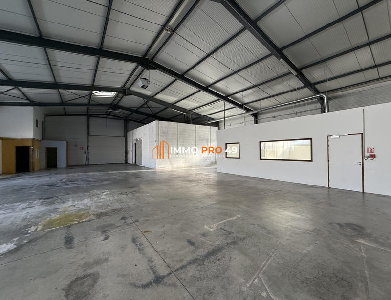 Local d'activités - 600 m² - 6 pièces