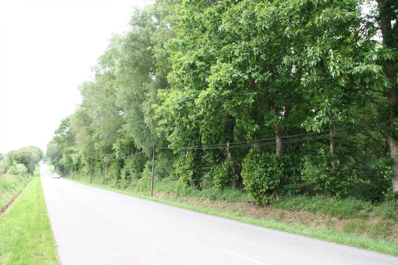 Terrain - 53 650 m²