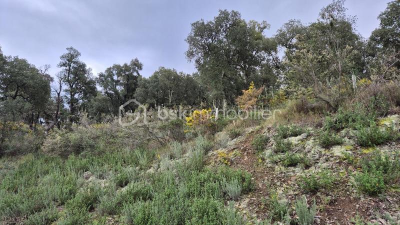 Terrain agricole - 56 090 m²