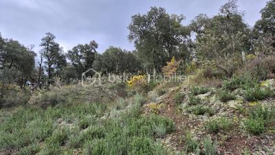 Terrain agricole - 56 090 m²