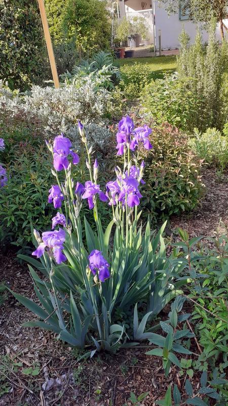 Appartement - 239 m² - 10 pièces