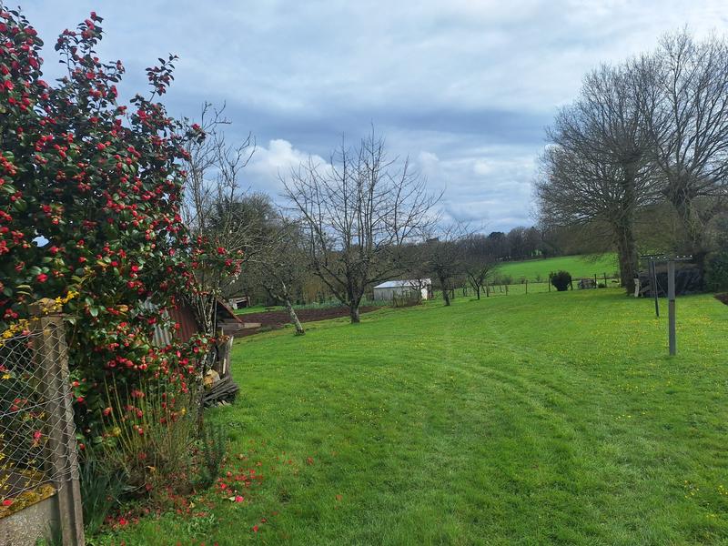 Maison ancienne - 49 m² - 3 pièces