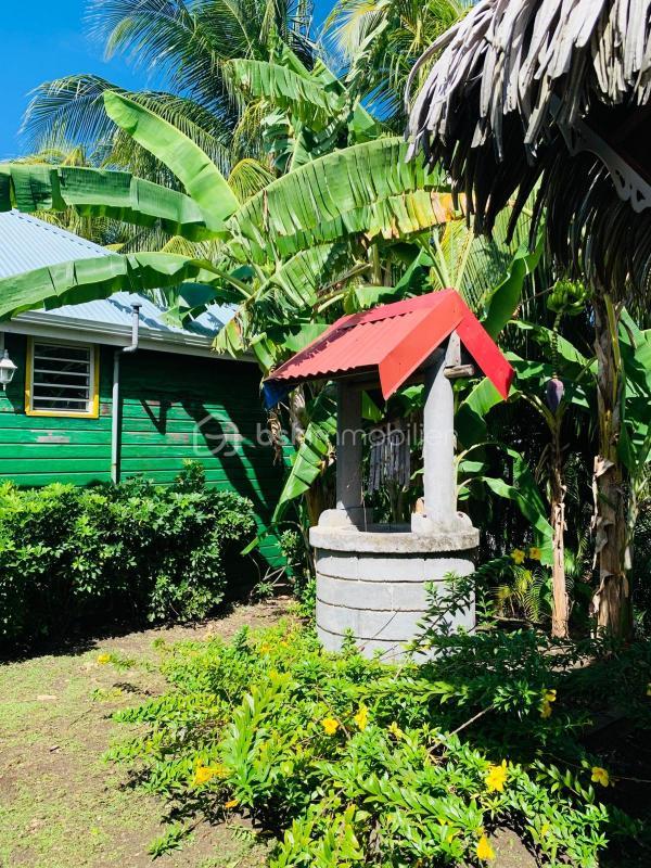 Propriété - 303 m² - 13 pièces