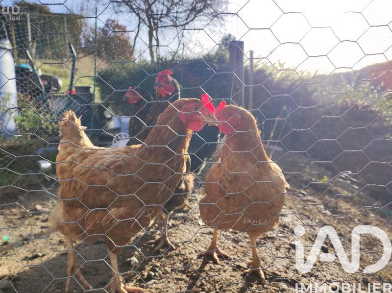 Maison - 154 m² - 6 pièces