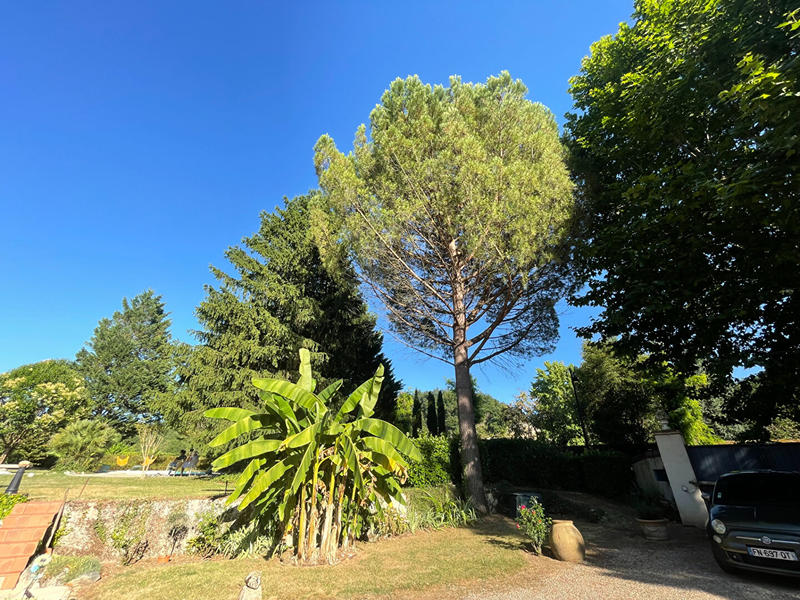 Maison - 220 m² - 6 pièces