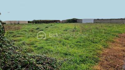 Terrain - 866 m²