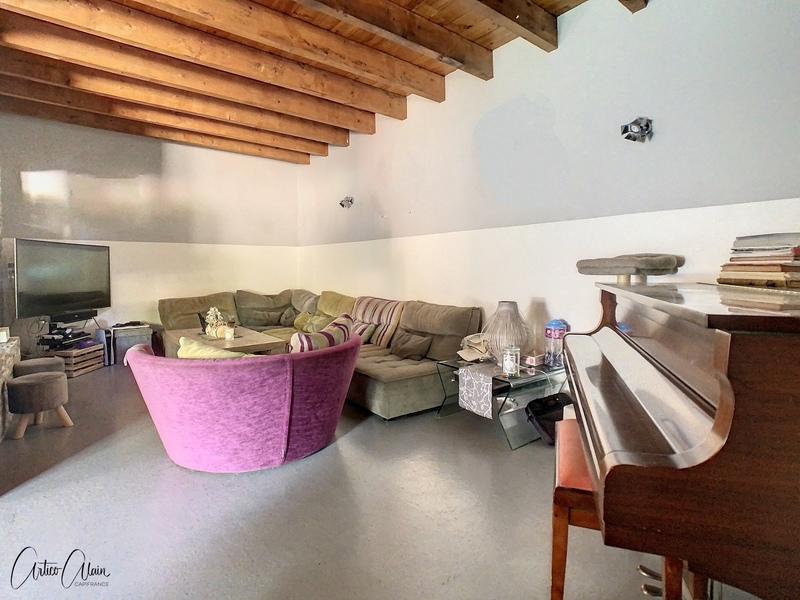 Maison - 463 m² - 9 pièces