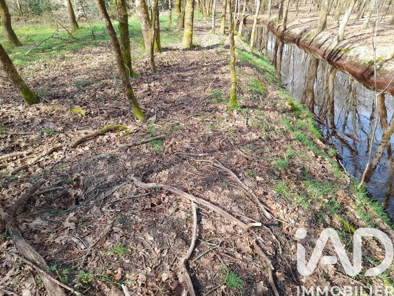 Terrain - 20 620 m²