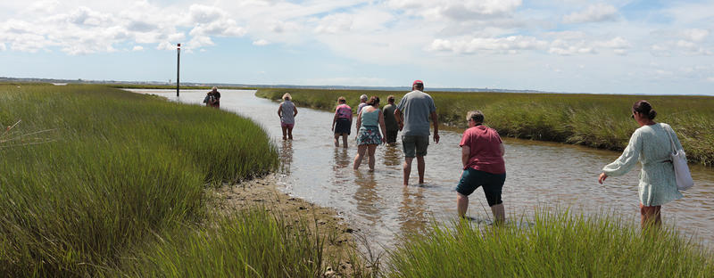 Balade grand large en galupe