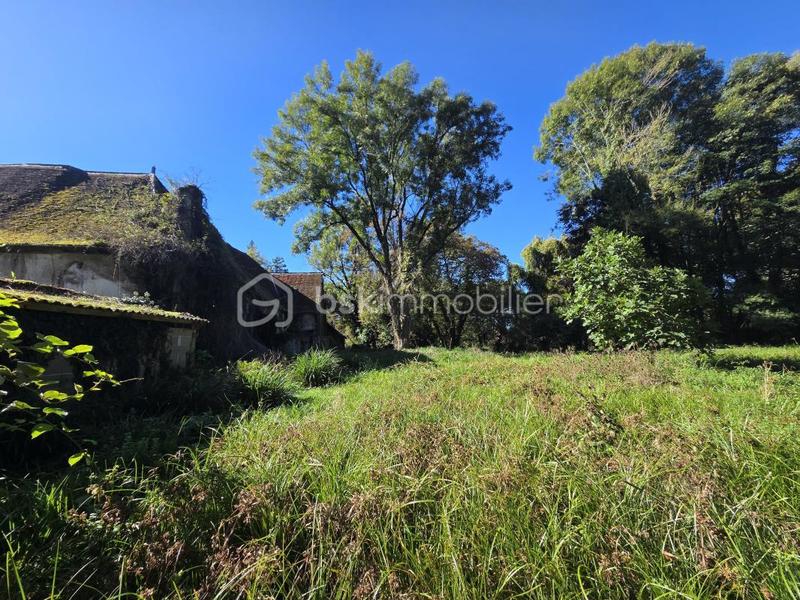 Immeuble - 1 500 m² - 37 pièces