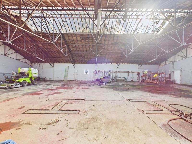 Entrepôt - 530 m²