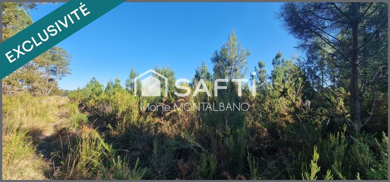 Terrain - 59 300 m²