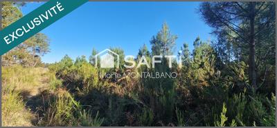 Terrain - 59 300 m²