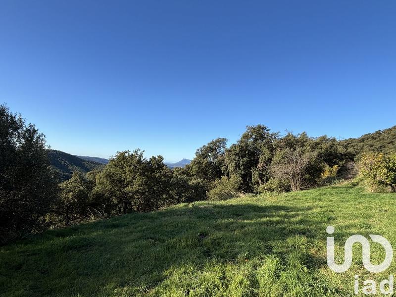 Maison - 270 m² - 9 pièces