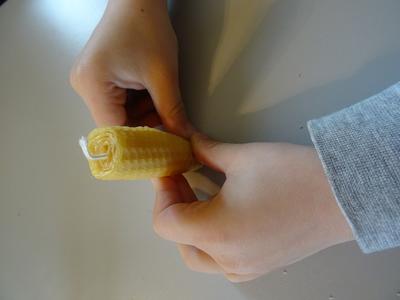 Découverte des abeilles et fabrication de bougie - Ferme-musée du Cotentin