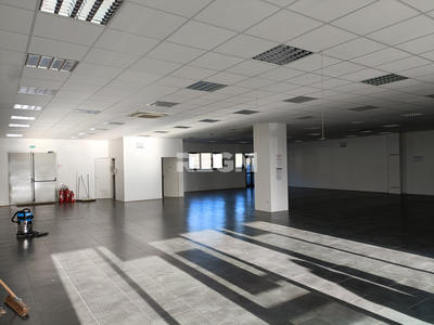 Local commercial - 298 m²